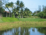IMG_7300.JPG