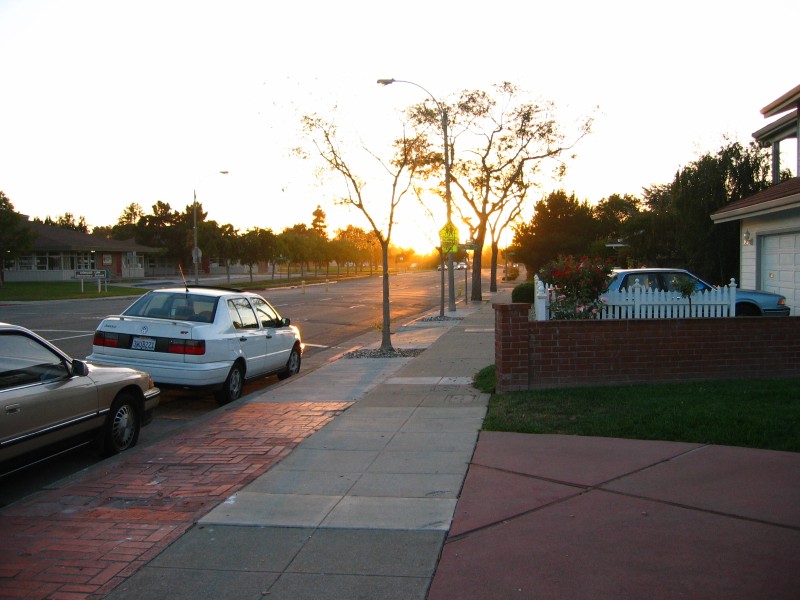 IMG_7785.JPG