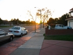 IMG_7785.JPG