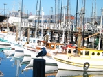 IMG_7794.JPG