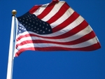 IMG_7823.JPG