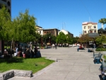 IMG_7849.JPG
