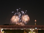 IMG_7976.JPG
煙花表演