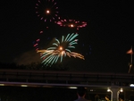 IMG_7981.JPG
