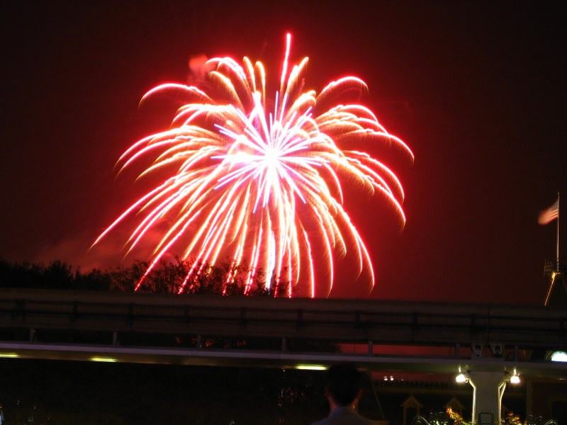 IMG_7982.JPG