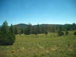 IMG_8114.JPG