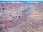 IMG_8145.JPG