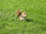 IMG_8392.JPG