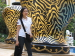 Upload