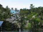 IMG_5342.JPG