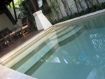 IMG_5384.JPG
