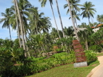 IMG_5397.JPG