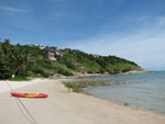 IMG_5416.JPG