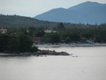 IMG_5492.JPG