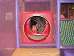 IMG_5696.JPG