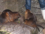 IMG_5736.JPG