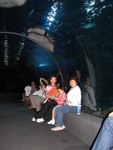 IMG_5740.JPG