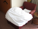 第七天: 昕昕bed