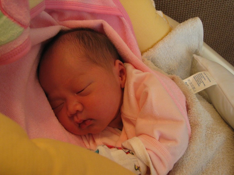 (11th day) zzzz....
(第11天) 繼續瞓...